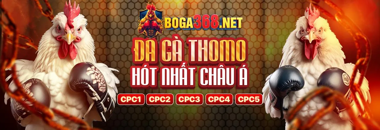 Đá Gà Trực Tiếp