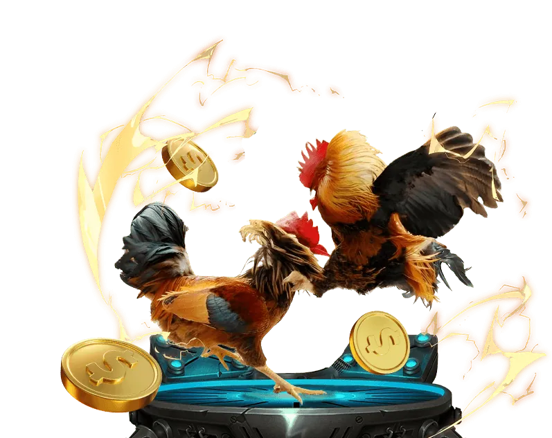 Đá gà trực tuyến kịch tính tại awin